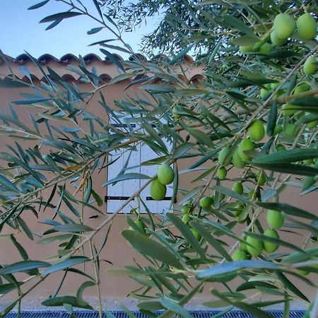 Reve En Luberon Villa Lauris Kültér fotó