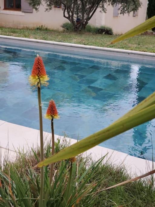 Reve En Luberon Villa Lauris Kültér fotó