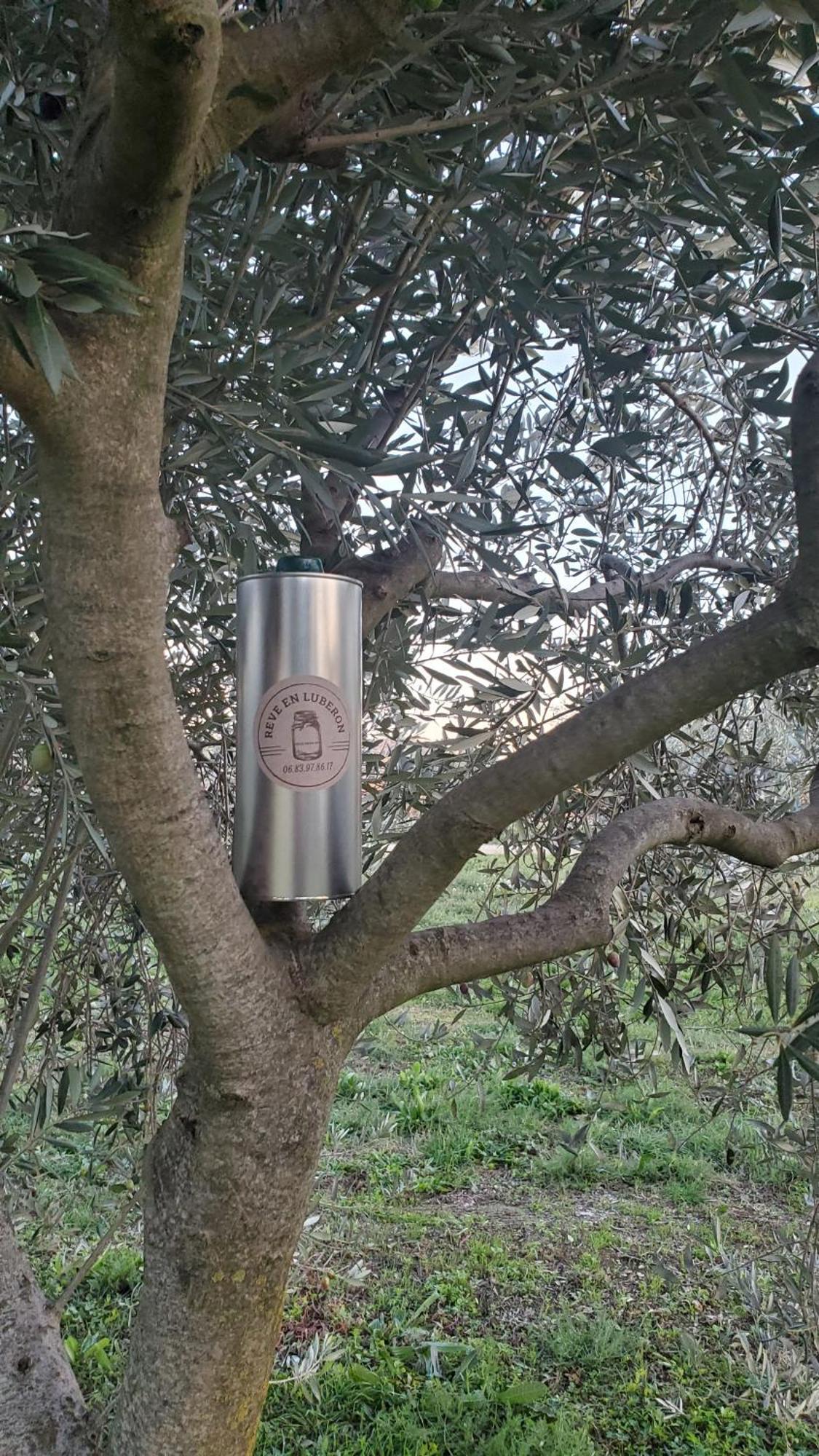 Reve En Luberon Villa Lauris Kültér fotó