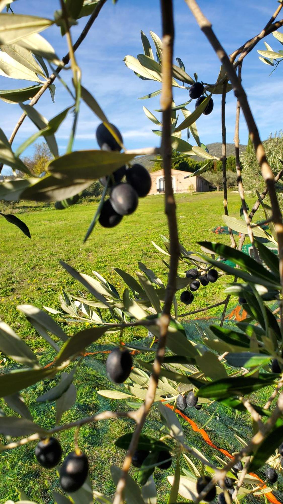 Reve En Luberon Villa Lauris Kültér fotó
