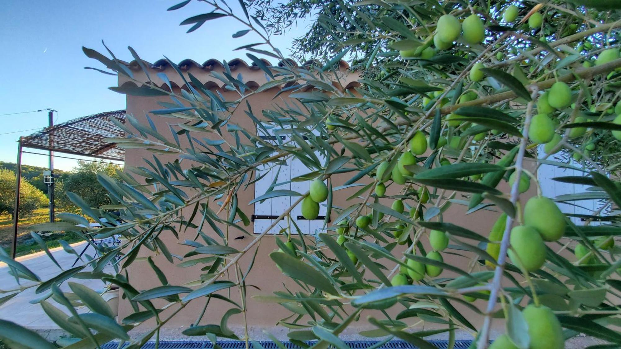 Reve En Luberon Villa Lauris Kültér fotó