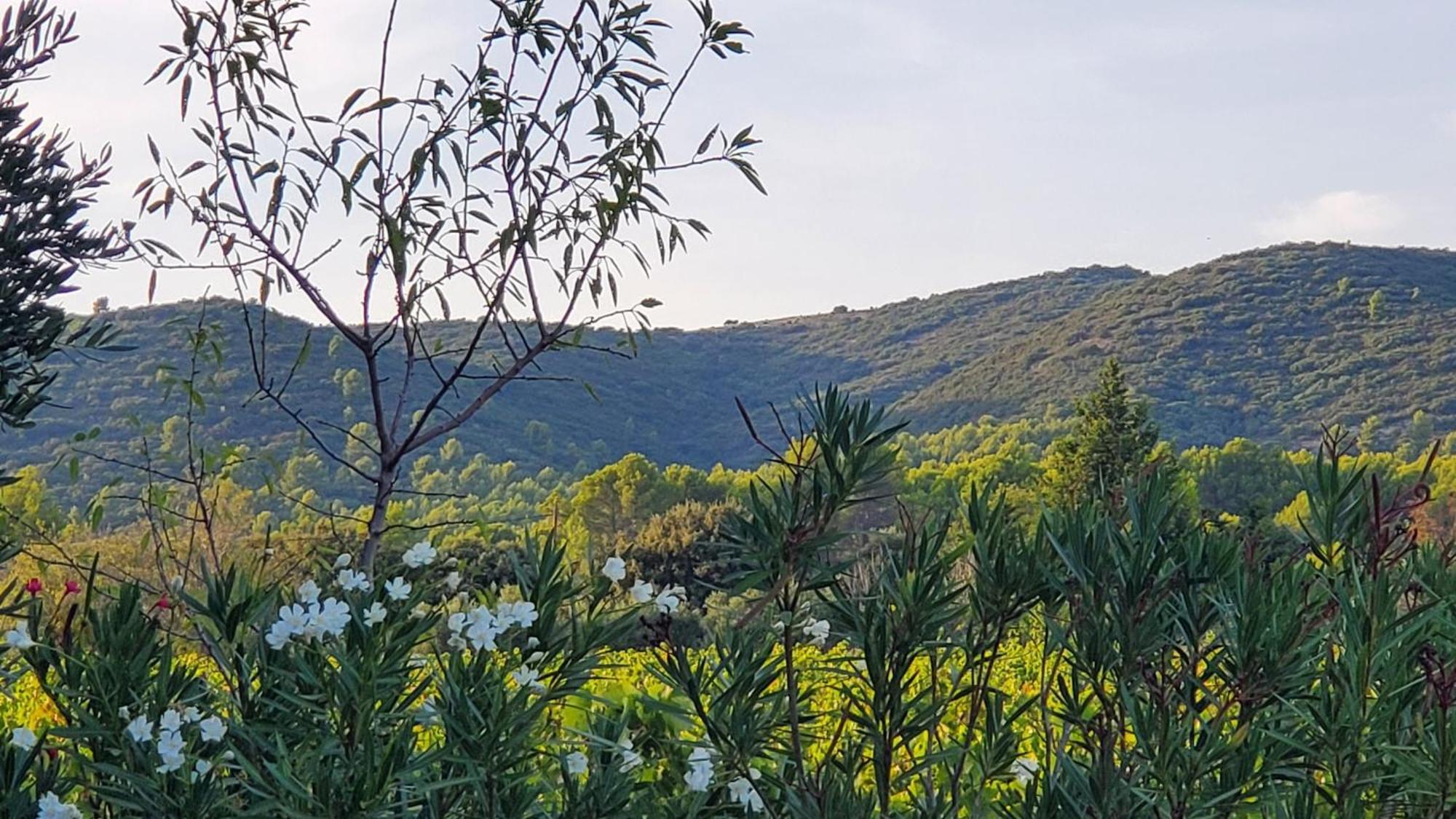 Reve En Luberon Villa Lauris Kültér fotó